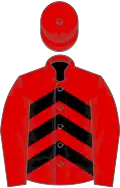 Red, black chevrons on body