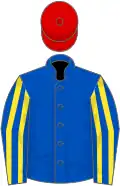 Royal blue, royal blue and yellow striped sleeves, red cap