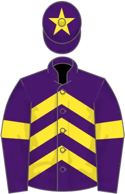 Purple, yellow chevrons, armlets and star on cap