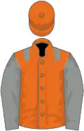 Orange, grey epaulets and sleeves