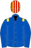 ROYAL BLUE, yellow epaulettes, red and yellow striped cap