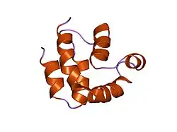 1a1z: FADD DEATH EFFECTOR DOMAIN, F25G MUTANT, NMR MINIMIZED AVERAGE STRUCTURE