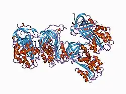 1b3k: Plasminogen activator inhibitor-1