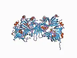 1d3b: CRYSTAL STRUCTURE OF THE D3B SUBCOMPLEX OF THE HUMAN CORE SNRNP DOMAIN AT 2.0A RESOLUTION