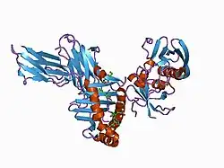 1d5m: X-RAY CRYSTAL STRUCTURE OF HLA-DR4 COMPLEXED WITH PEPTIDE AND SEB