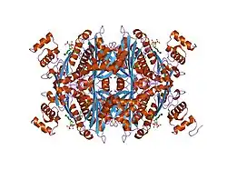 1dq9: COMPLEX OF CATALYTIC PORTION OF HUMAN HMG-COA REDUCTASE WITH HMG-COA