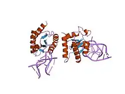 1e7k: CRYSTAL STRUCTURE OF THE SPLICEOSOMAL 15.5KD PROTEIN BOUND TO A U4 SNRNA FRAGMENT