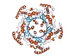 1fb1: CRYSTAL STRUCTURE OF HUMAN GTP CYCLOHYDROLASE I