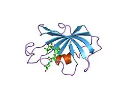 1fkd: FK-506 BINDING PROTEIN: THREE-DIMENSIONAL STRUCTURE OF THE COMPLEX WITH THE ANTAGONIST L-685,818