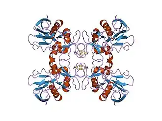 Cartoon representation of the molecular structure of SPEA1.