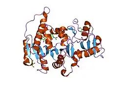 1foa: CRYSTAL STRUCTURE OF N-ACETYLGLUCOSAMINYLTRANSFERASE I