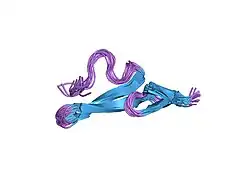 1fsb: STRUCTURE OF THE EGF DOMAIN OF P-SELECTIN, NMR, 19 STRUCTURES