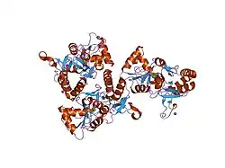 1ftj: CRYSTAL STRUCTURE OF THE GLUR2 LIGAND BINDING CORE (S1S2J) IN COMPLEX WITH GLUTAMATE AT 1.9 RESOLUTION