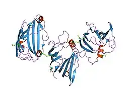 1g13: HUMAN GM2 ACTIVATOR STRUCTURE