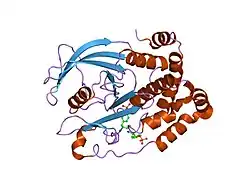 1g1f: CRYSTAL STRUCTURE OF PROTEIN TYROSINE PHOSPHATASE 1B COMPLEXED WITH A TRI-PHOSPHORYLATED PEPTIDE (RDI(PTR)ETD(PTR)(PTR)RK) FROM THE INSULIN RECEPTOR KINASE
