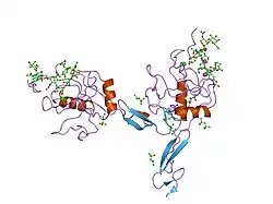 1g1s: P-SELECTIN LECTIN/EGF DOMAINS COMPLEXED WITH PSGL-1 PEPTIDE