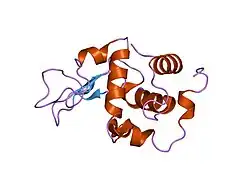 1gby: CRYSTAL STRUCTURE OF MUTANT HUMAN LYSOZYME SUBSTITUTED AT THE SURFACE POSITIONS