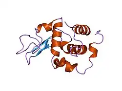 1gf0: BURIED POLAR MUTANT HUMAN LYSOZYME