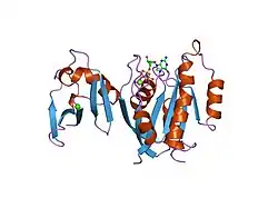 1gua: HUMAN RAP1A, RESIDUES 1-167, DOUBLE MUTANT (E30D,K31E) COMPLEXED WITH GPPNHP AND THE RAS-BINDING-DOMAIN OF HUMAN C-RAF1, RESIDUES 51-131