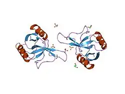 1h8u: CRYSTAL STRUCTURE OF THE EOSINOPHIL MAJOR BASIC PROTEIN AT 1.8A: AN ATYPICAL LECTIN WITH A PARADIGM SHIFT IN SPECIFICITY