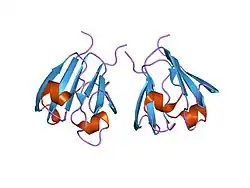 1ha4: GAMMAS CRYSTALLIN C TERMINAL DOMAIN FROM HOMO SAPIENS