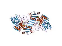 1hdx: THREE-DIMENSIONAL STRUCTURES OF THREE HUMAN ALCOHOL DEHYDROGENASE VARIANTS: CORRELATIONS WITH THEIR FUNCTIONAL DIFFERENCES