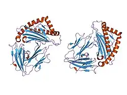 1i7r: CRYSTAL STRUCTURE OF CLASS I MHC A2 IN COMPLEX WITH PEPTIDE P1058