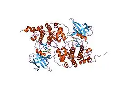 1j1c: Binary complex structure of human tau protein kinase I with ADP