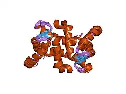 1jwd: Ca2+-induced Structural Changes in Calcyclin: High-resolution Solution Structure of Ca2+-bound Calcyclin.