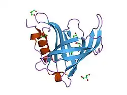 1jyd: Crystal Structure of Recombinant Human Serum Retinol-Binding Protein at 1.7 A Resolution