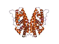 1kv6: X-ray structure of the orphan nuclear receptor ERR3 ligand-binding domain in the constitutively active conformation
