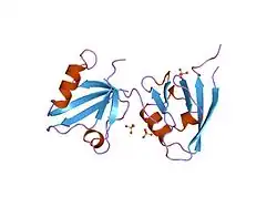 1kwa: HUMAN CASK/LIN-2 PDZ DOMAIN
