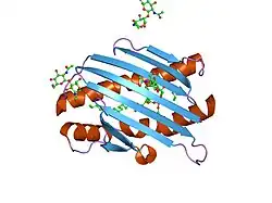 1l8j: Crystal Structure of the Endothelial Protein C Receptor and Bound Phospholipid Molecule