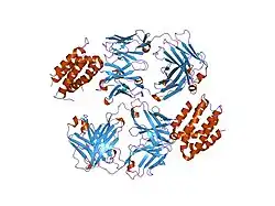 1lk3: ENGINEERED HUMAN INTERLEUKIN-10 MONOMER COMPLEXED TO 9D7 FAB FRAGMENT