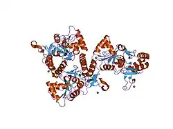 1m5f: X-RAY STRUCTURE OF THE GLUR2 LIGAND BINDING CORE (S1S2J-Y702F) IN COMPLEX WITH ACPA AT 1.95 A RESOLUTION
