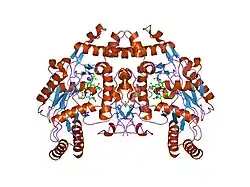 1m9m: human endothelial nitric oxide synthase with 6-nitroindazole bound