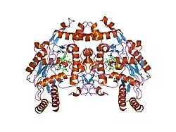 1m9q: human endothelial nitric oxide synthase with 5-nitroindazole bound