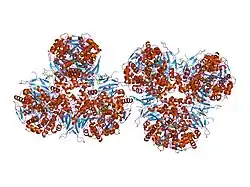 1mx9: Crystal Structure of Human Liver Carboxylesterase in complexed with naloxone methiodide, a heroin analogue