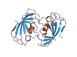 1n1a: Crystal Structure of the N-terminal domain of human FKBP52