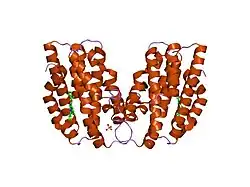1n45: X-RAY CRYSTAL STRUCTURE OF HUMAN HEME OXYGENASE-1 (HO-1) IN COMPLEX WITH ITS SUBSTRATE HEME