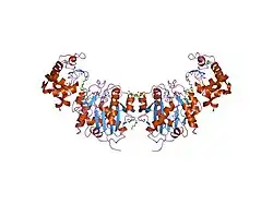 1nkh: Crystal structure of Lactose synthase complex with UDP and Manganese