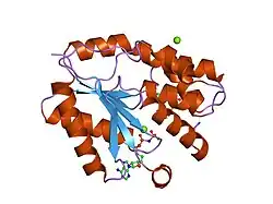 1nn5: Crystal structure of human thymidylate kinase with d4TMP + AppNHp