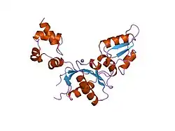 1nom: DNA POLYMERASE BETA (POL B) (E.C.2.7.7.7), 31-KD DOMAIN; SOAKED IN THE PRESENCE OF MNCL2 (5 MILLIMOLAR)