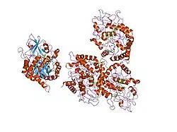 1nwu: Crystal structure of human cartilage gp39 (HC-gp39) in complex with chitotetraose
