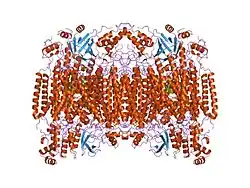 1ocr: BOVINE HEART CYTOCHROME C OXIDASE IN THE FULLY REDUCED STATE