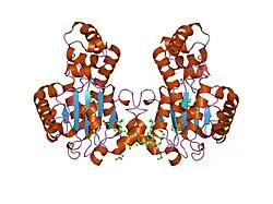 1oiz: THE MOLECULAR BASIS OF VITAMIN E RETENTION: STRUCTURE OF HUMAN ALPHA-TOCOPHEROL TRANSFER PROTEIN
