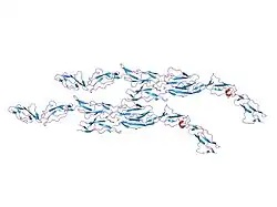 1ojy: DECAY ACCELERATING FACTOR (CD55): THE STRUCTURE OF AN INTACT HUMAN COMPLEMENT REGULATOR.
