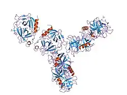 1op8: Crystal Structure of Human Granzyme A