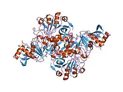 1ope: Deletion mutant of SUCCINYL-COA:3-KETOACID COA TRANSFERASE FROM PIG HEART