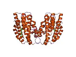 1oyl: Crystal Structures of the Ferric, Ferrous, and Ferrous-NO Forms of the Asp140Ala Mutant of Human Heme Oxygenase-1: Catalytic Implications